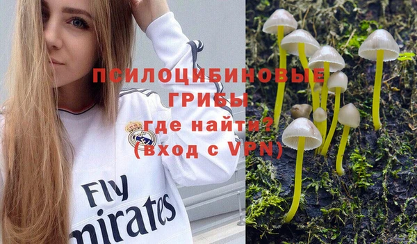 прущие крисы Алзамай