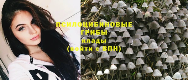 прущие крисы Алзамай