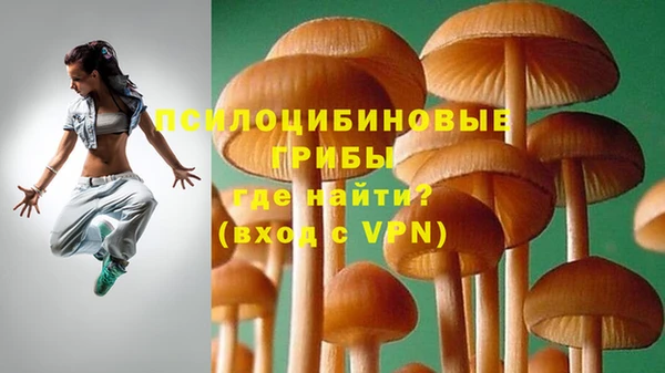 дмт Абаза