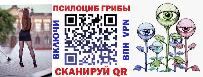Псилоцибиновые грибы Psilocybine cubensis  Ярославль 