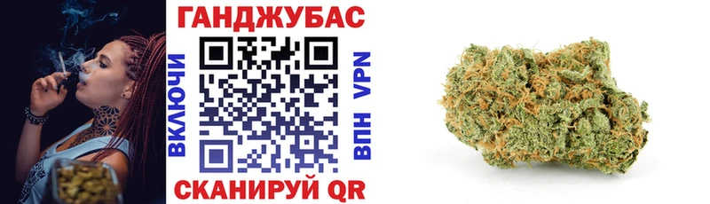 мега Ярославль это клад Конопля тримм
